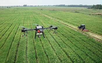 intelligenza artificiale agricoltura